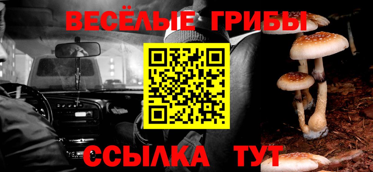 Псилоцибиновые грибы Magic Shrooms Приморско-Ахтарск