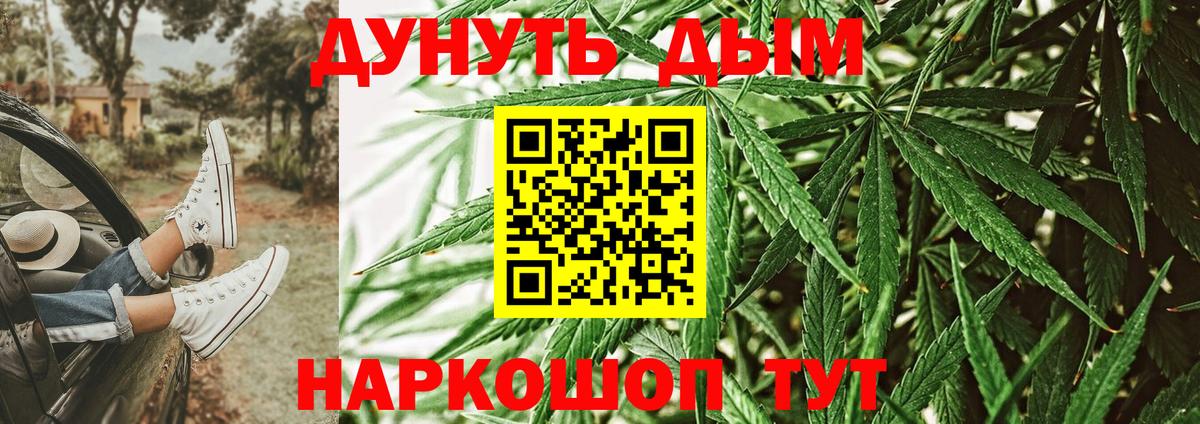 Шишки марихуана Amnesia Приморско-Ахтарск